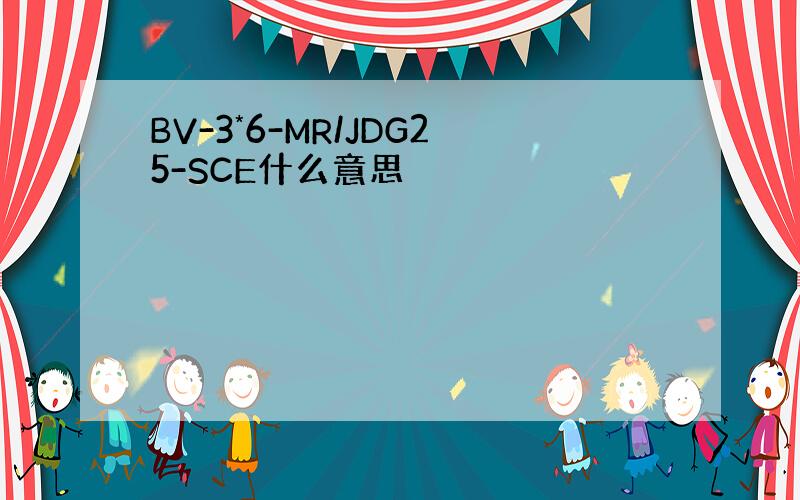 BV-3*6-MR/JDG25-SCE什么意思