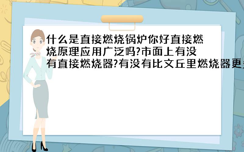 什么是直接燃烧锅炉你好直接燃烧原理应用广泛吗?市面上有没有直接燃烧器?有没有比文丘里燃烧器更先进的?可以替代的燃烧器.颜