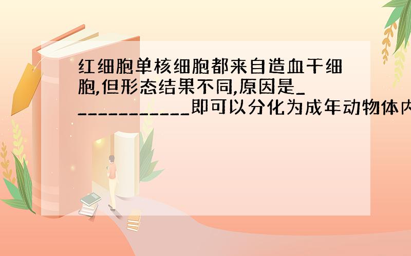 红细胞单核细胞都来自造血干细胞,但形态结果不同,原因是____________即可以分化为成年动物体内任何一种组织