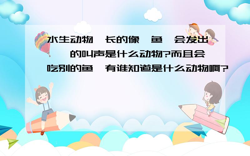 水生动物,长的像鲶鱼,会发出哞哞的叫声是什么动物?而且会吃别的鱼,有谁知道是什么动物啊?