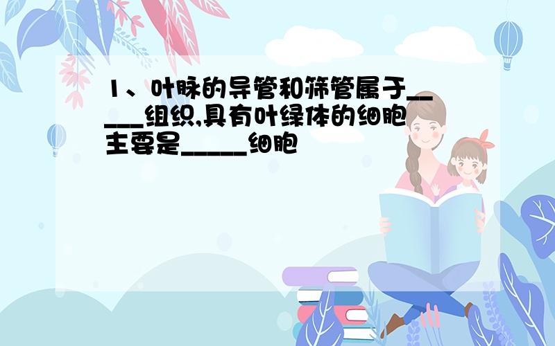 1、叶脉的导管和筛管属于_____组织,具有叶绿体的细胞主要是_____细胞