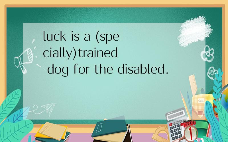 luck is a (specially)trained dog for the disabled.