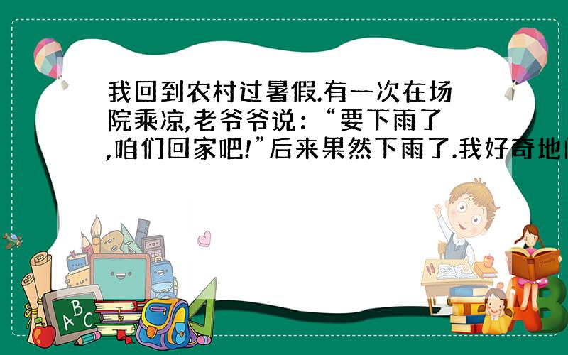 我回到农村过暑假.有一次在场院乘凉,老爷爷说：“要下雨了,咱们回家吧!”后来果然下雨了.我好奇地问老爷爷：“你怎么知道要