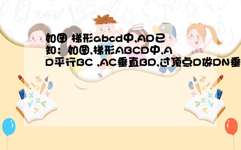 如图 梯形abcd中,AD已知：如图,梯形ABCD中,AD平行BC ,AC垂直BD,过顶点D做DN垂直BC,点N为足,求