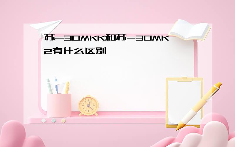 苏-30MKK和苏-30MK2有什么区别