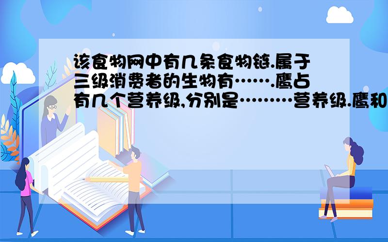 该食物网中有几条食物链.属于三级消费者的生物有…….鹰占有几个营养级,分别是………营养级.鹰和蛇的关系即使……,又是……