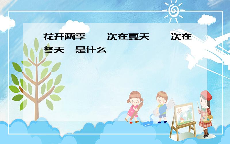 花开两季,一次在夏天,一次在冬天,是什么