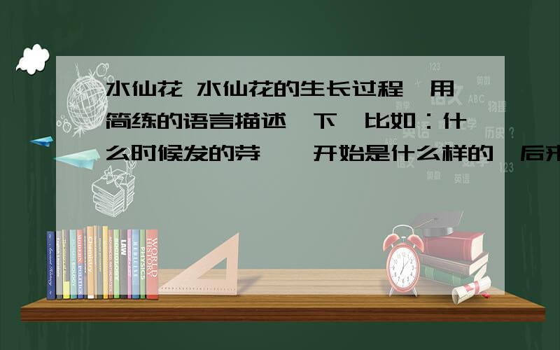 水仙花 水仙花的生长过程,用简练的语言描述一下,比如：什么时候发的芽、一开始是什么样的,后来又是什么样的,怎么开的花……