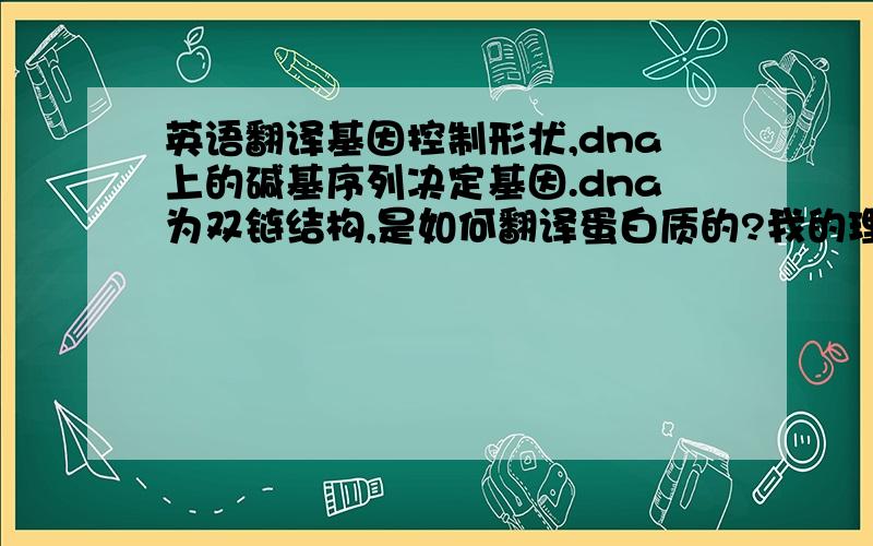 英语翻译基因控制形状,dna上的碱基序列决定基因.dna为双链结构,是如何翻译蛋白质的?我的理解是:因为翻译必须是从5’