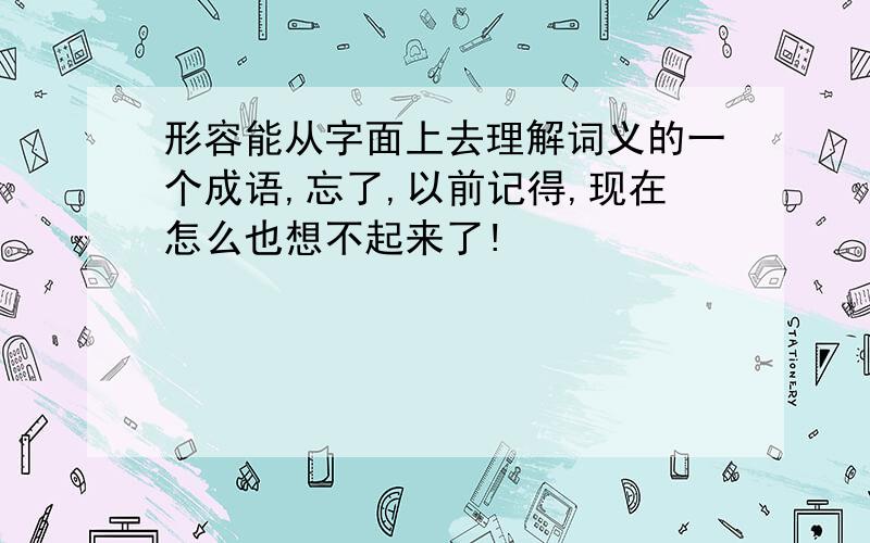 形容能从字面上去理解词义的一个成语,忘了,以前记得,现在怎么也想不起来了!