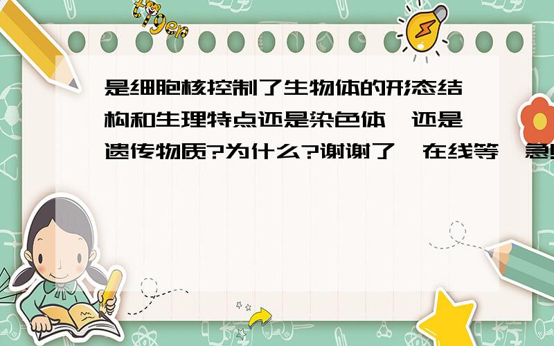 是细胞核控制了生物体的形态结构和生理特点还是染色体,还是遗传物质?为什么?谢谢了,在线等,急!