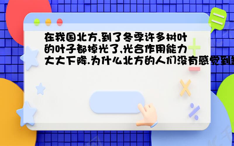 在我国北方,到了冬季许多树叶的叶子都掉光了,光合作用能力大大下降.为什么北方的人们没有感觉到缺氧呢