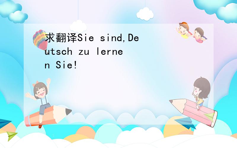 求翻译Sie sind,Deutsch zu lernen Sie!