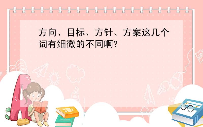 方向、目标、方针、方案这几个词有细微的不同啊?