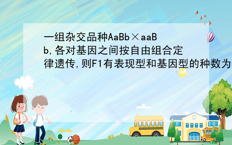 一组杂交品种AaBb×aaBb,各对基因之间按自由组合定律遗传,则F1有表现型和基因型的种数为