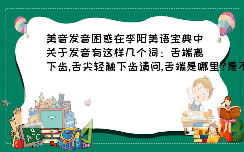 美音发音困惑在李阳美语宝典中关于发音有这样几个词：舌端离下齿,舌尖轻触下齿请问,舌端是哪里?是不用碰到下齿吗?大概是一种