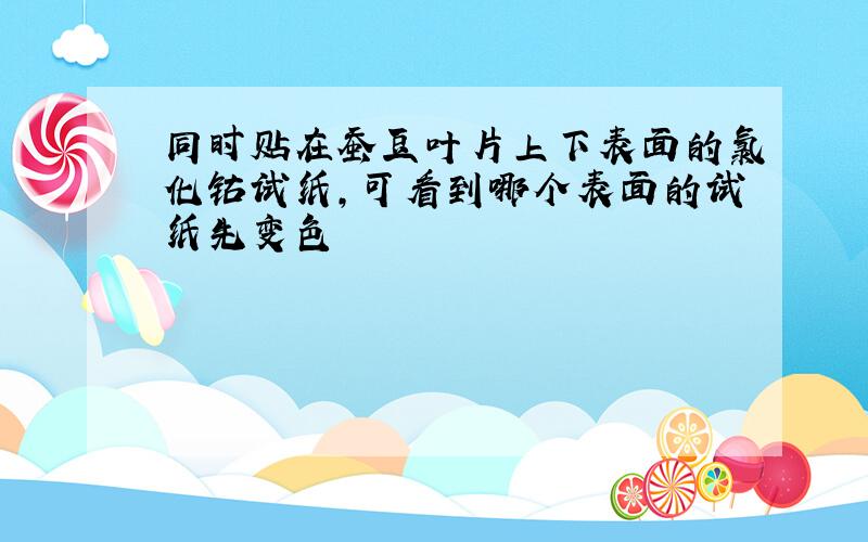 同时贴在蚕豆叶片上下表面的氯化钴试纸,可看到哪个表面的试纸先变色