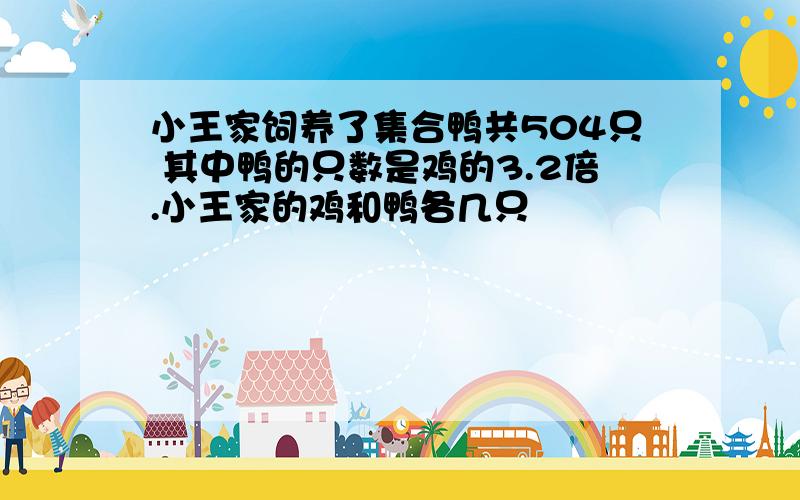 小王家饲养了集合鸭共504只 其中鸭的只数是鸡的3.2倍.小王家的鸡和鸭各几只