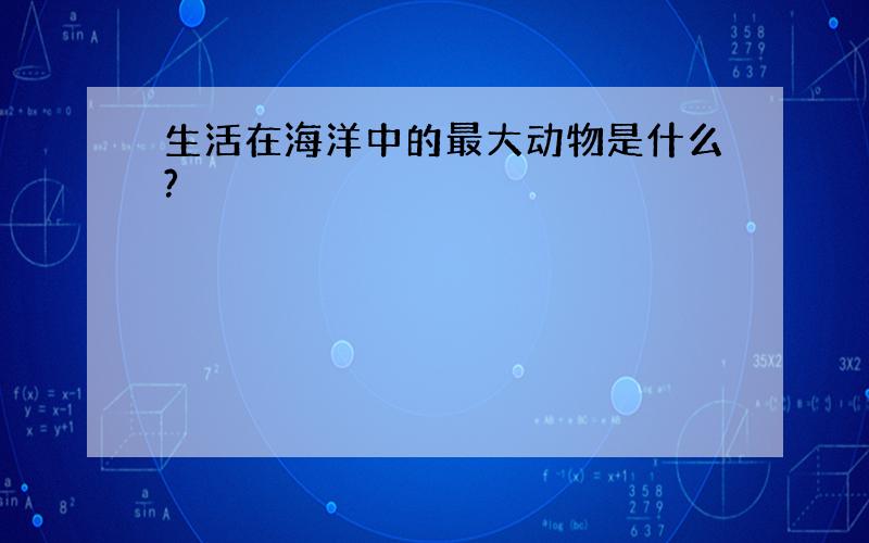 生活在海洋中的最大动物是什么?