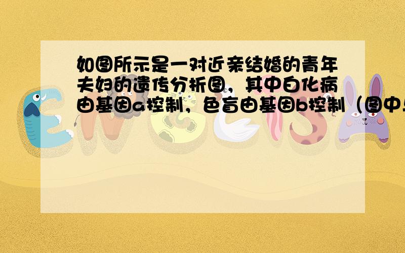 如图所示是一对近亲结婚的青年夫妇的遗传分析图，其中白化病由基因a控制，色盲由基因b控制（图中与本题无关的染色体省略），据