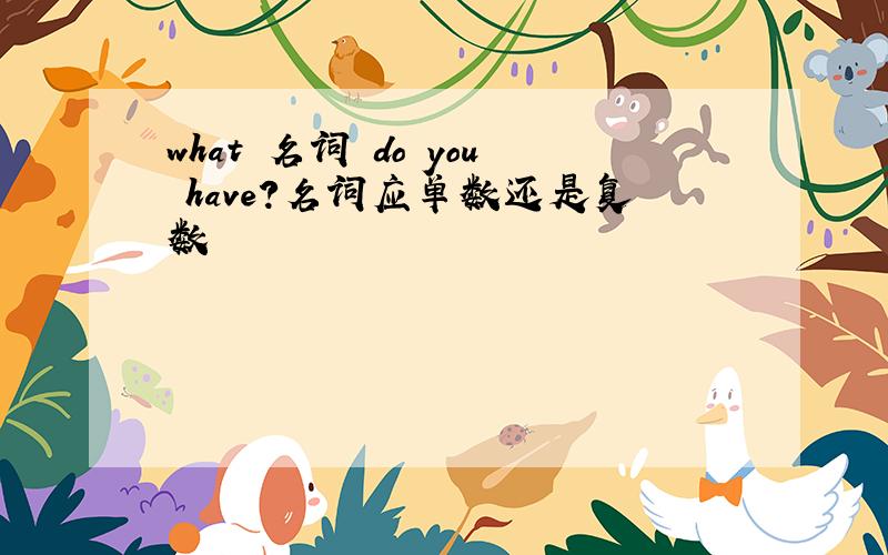 what 名词 do you have?名词应单数还是复数