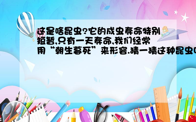 这是啥昆虫?它的成虫寿命特别短暂,只有一天寿命,我们经常用“朝生暮死”来形容.猜一猜这种昆虫叫什么?