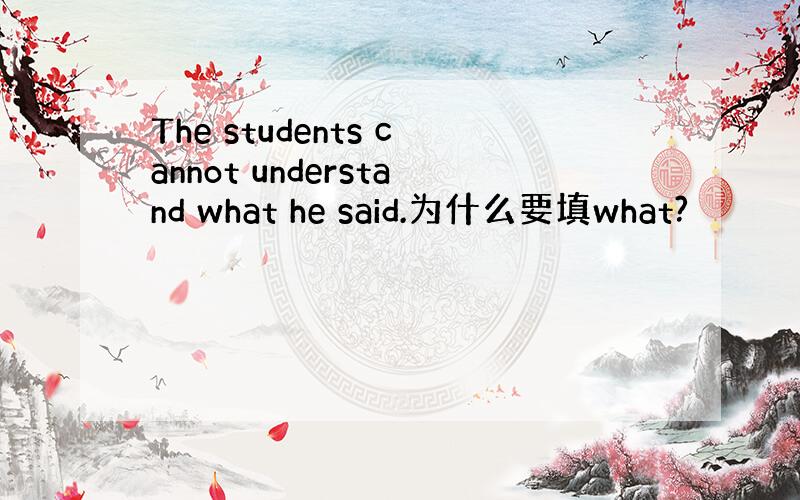 The students cannot understand what he said.为什么要填what?