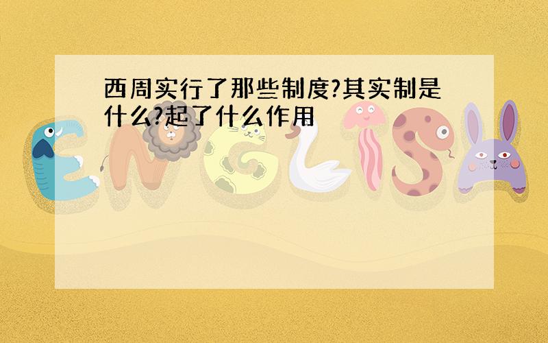 西周实行了那些制度?其实制是什么?起了什么作用