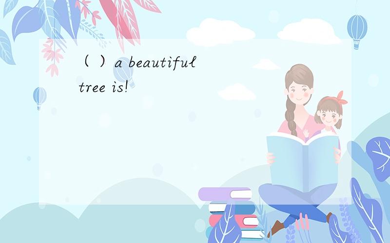 （ ）a beautiful tree is!