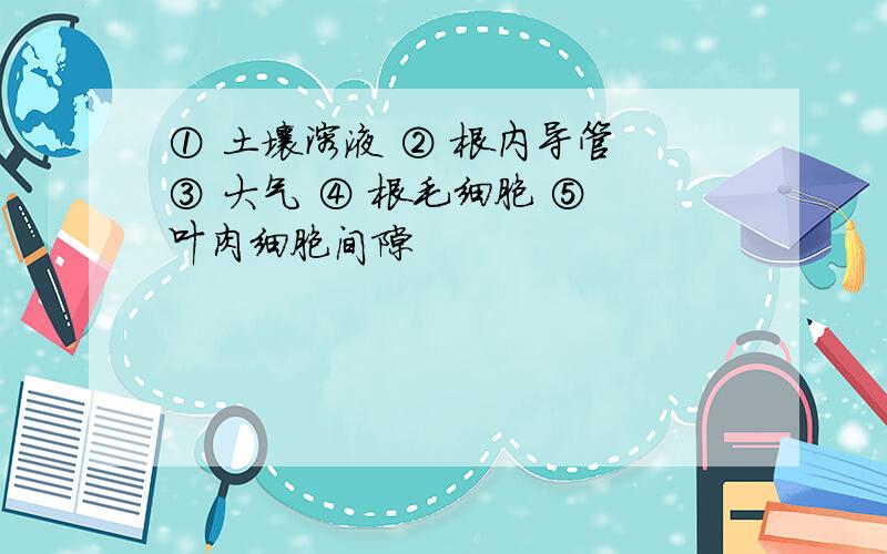 ① 土壤溶液 ② 根内导管 ③ 大气 ④ 根毛细胞 ⑤ 叶肉细胞间隙