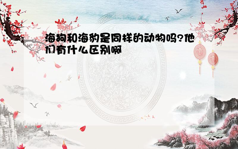 海狗和海豹是同样的动物吗?他们有什么区别啊