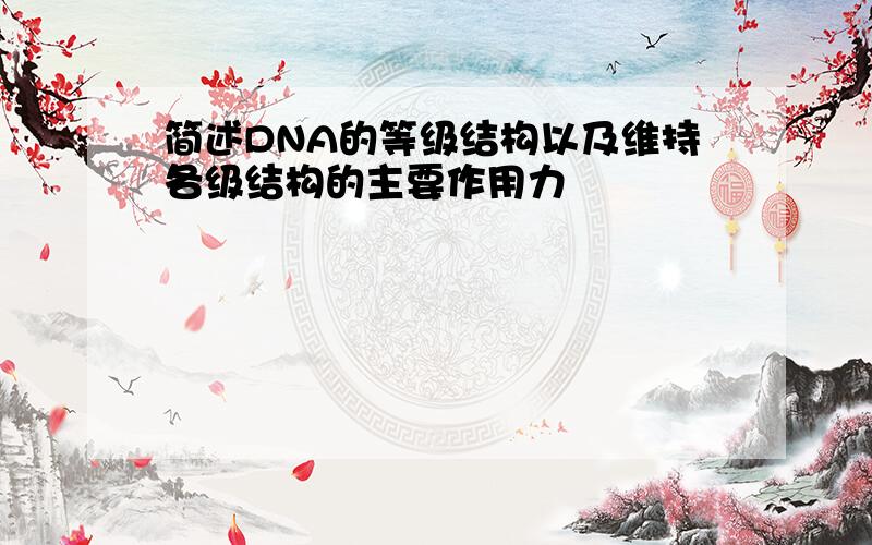 简述DNA的等级结构以及维持各级结构的主要作用力