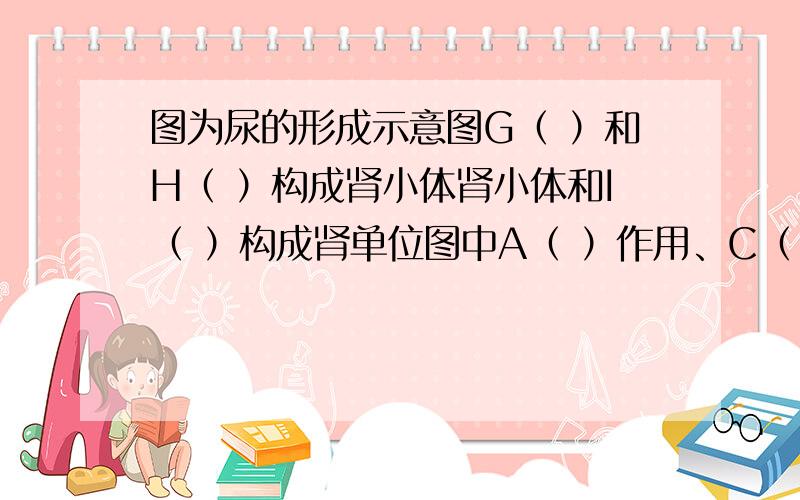 图为尿的形成示意图G（ ）和H（ ）构成肾小体肾小体和I（ ）构成肾单位图中A（ ）作用、C（ ）作用通过a形成液体B为