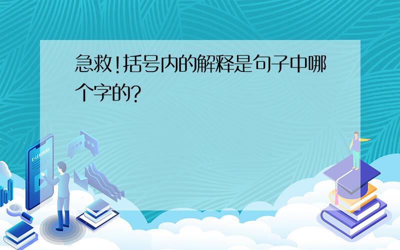 急救!括号内的解释是句子中哪个字的?