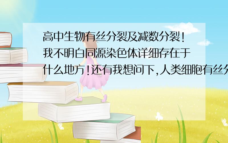 高中生物有丝分裂及减数分裂!我不明白同源染色体详细存在于什么地方!还有我想问下,人类细胞有丝分裂时是有46个染色体既96