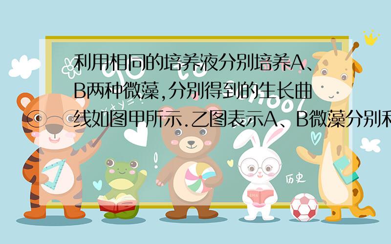 利用相同的培养液分别培养A、B两种微藻,分别得到的生长曲线如图甲所示.乙图表示A、B微藻分别利用其中某矿质元素（如磷）的