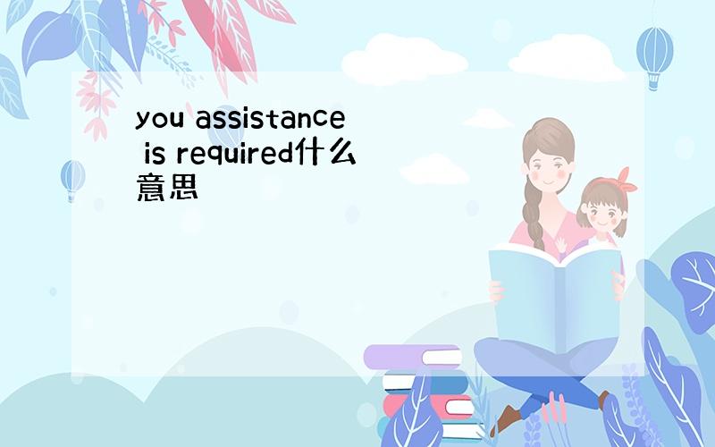 you assistance is required什么意思