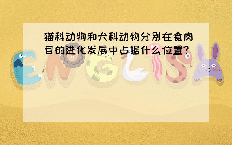 猫科动物和犬科动物分别在食肉目的进化发展中占据什么位置?