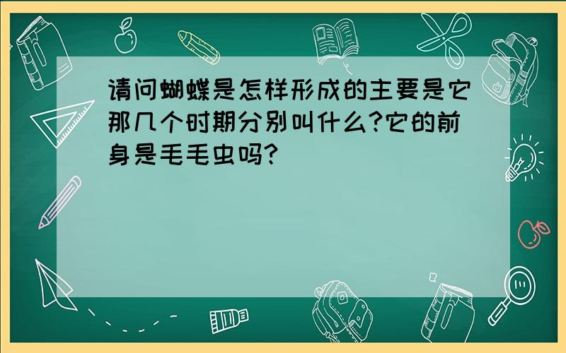 请问蝴蝶是怎样形成的主要是它那几个时期分别叫什么?它的前身是毛毛虫吗?