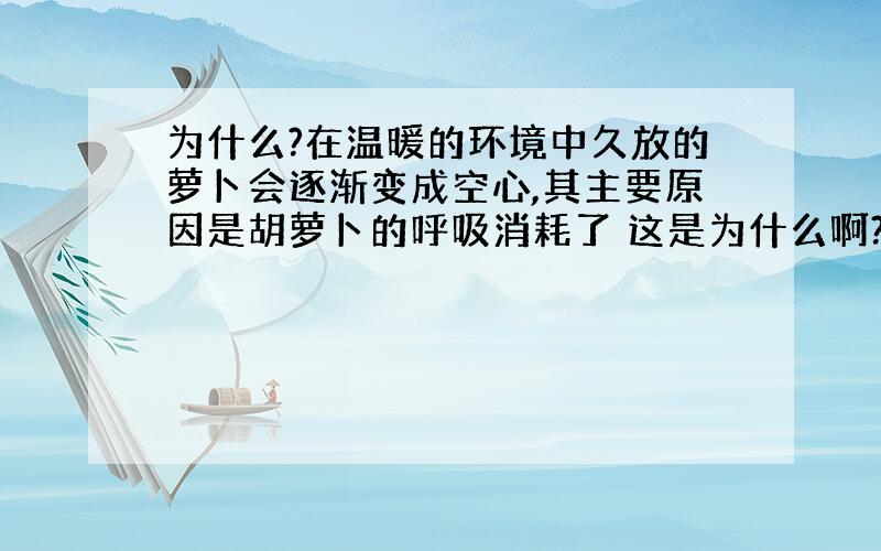 为什么?在温暖的环境中久放的萝卜会逐渐变成空心,其主要原因是胡萝卜的呼吸消耗了 这是为什么啊?急