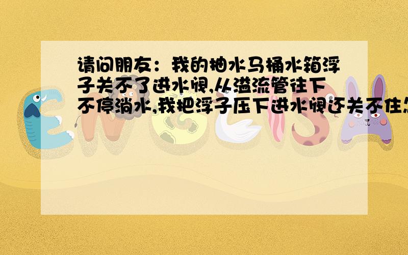 请问朋友：我的抽水马桶水箱浮子关不了进水阀,从溢流管往下不停淌水,我把浮子压下进水阀还关不住怎么办