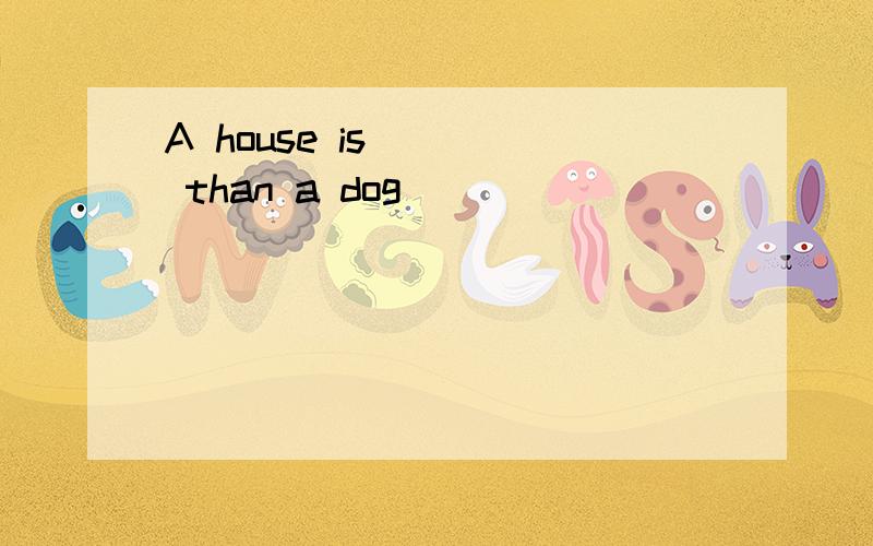 A house is ___ than a dog