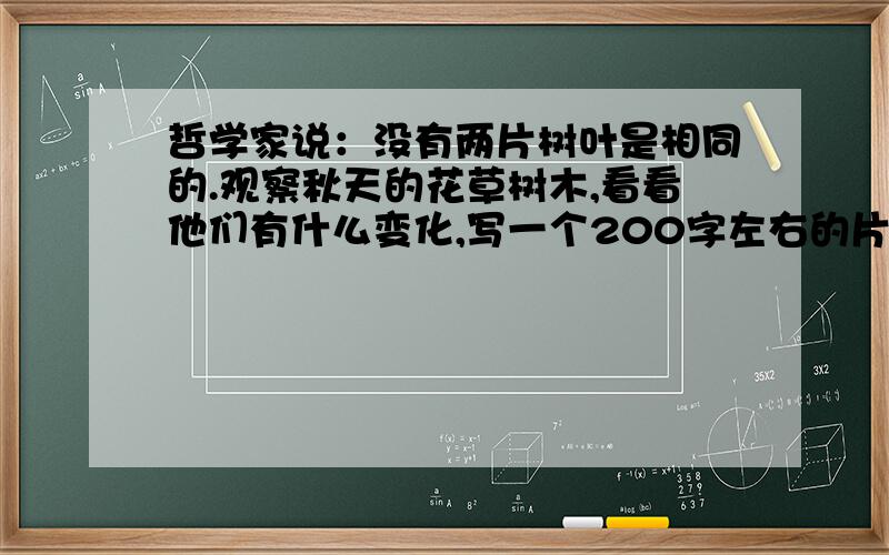 哲学家说：没有两片树叶是相同的.观察秋天的花草树木,看看他们有什么变化,写一个200字左右的片段,记录你的观察和思考.