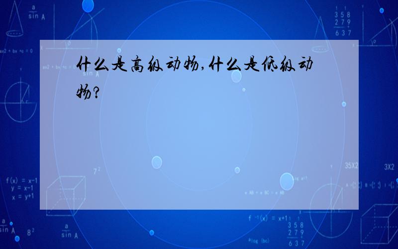 什么是高级动物,什么是低级动物?