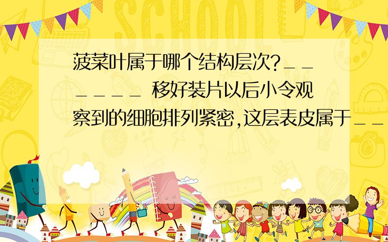 菠菜叶属于哪个结构层次?______ 移好装片以后小令观察到的细胞排列紧密,这层表皮属于_____-组织