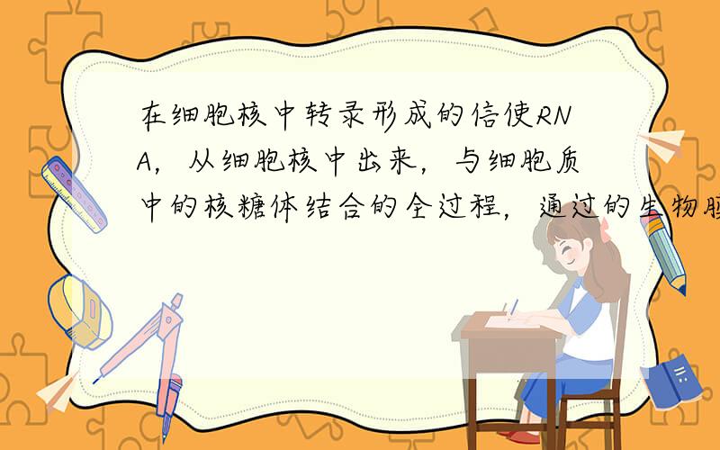 在细胞核中转录形成的信使RNA，从细胞核中出来，与细胞质中的核糖体结合的全过程，通过的生物膜共有（　　）