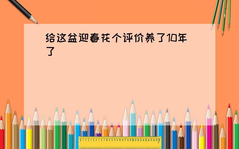 给这盆迎春花个评价养了10年了