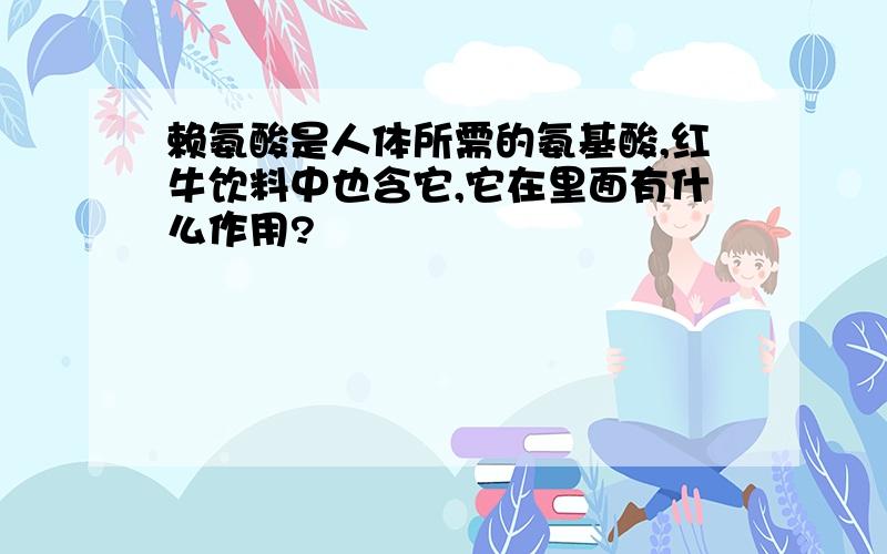 赖氨酸是人体所需的氨基酸,红牛饮料中也含它,它在里面有什么作用?