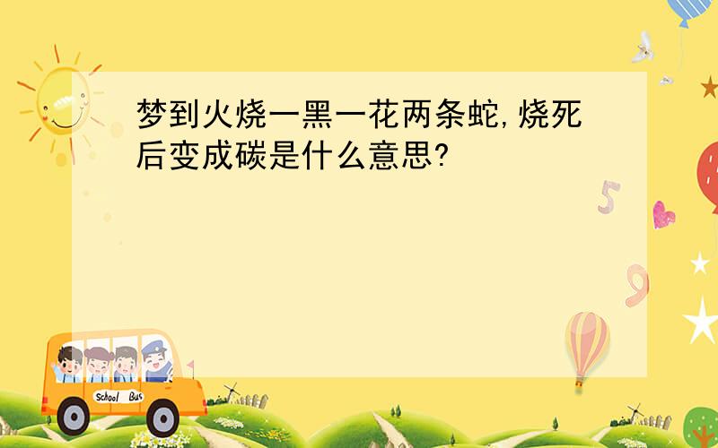 梦到火烧一黑一花两条蛇,烧死后变成碳是什么意思?