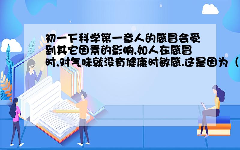 初一下科学第一章人的感冒会受到其它因素的影响,如人在感冒时,对气味就没有健康时敏感.这是因为（ ）a:感冒影响了嗅觉细胞